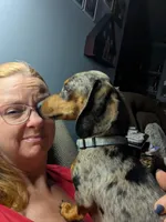 processed/7bf21a65-c31d-4376-a833-0bf70efa7b5f/facility/b97bdbfe-218d-41c1-bc4b-b8785000f5ee