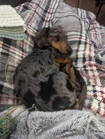 processed/7bf21a65-c31d-4376-a833-0bf70efa7b5f/facility/dc5eb797-3c52-4fde-9056-2028e1052979