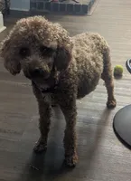 processed/7bf21a65-c31d-4376-a833-0bf70efa7b5f/facility/e340695a-86a2-4ee9-9018-5a2547923411