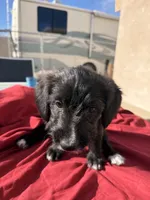 processed/7bf2451e-e20e-4034-8d80-2b44e19ea755/listing/27f0ed31-6efa-4770-82d4-c7080e622c98/71bab153-8b89-416b-a8dd-d8df446bcfe5