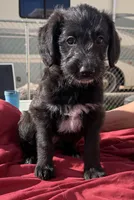 processed/7bf2451e-e20e-4034-8d80-2b44e19ea755/listing/27f0ed31-6efa-4770-82d4-c7080e622c98/9eac1861-8941-44ca-a206-c9e62636b878