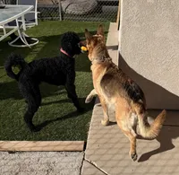 processed/7bf2451e-e20e-4034-8d80-2b44e19ea755/listing/2ece7815-13f4-4980-937a-8aaaad866f60/1f00eb01-738a-402b-a2d8-6563e6570479