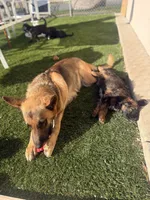 processed/7bf2451e-e20e-4034-8d80-2b44e19ea755/listing/2ece7815-13f4-4980-937a-8aaaad866f60/49a5bcd0-ee6d-4e6b-90cf-d2bed6443a8f