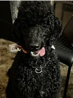 processed/7bf2451e-e20e-4034-8d80-2b44e19ea755/listing/2ece7815-13f4-4980-937a-8aaaad866f60/81c24041-78a8-4b45-9d0d-bee8ce521d6e