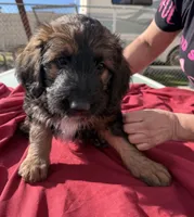 processed/7bf2451e-e20e-4034-8d80-2b44e19ea755/listing/3a76a921-3944-49dc-8d12-94d5d6f17fcc/04f3960f-67fd-4619-bda5-8975fd695e19