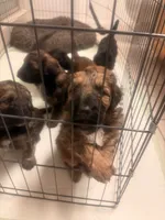 processed/7bf2451e-e20e-4034-8d80-2b44e19ea755/listing/48afad59-abd6-43b3-8fc2-6d220a441520/2651cb56-b823-42d5-a0fd-1581f4cefd49