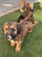 processed/7bf2451e-e20e-4034-8d80-2b44e19ea755/listing/48afad59-abd6-43b3-8fc2-6d220a441520/7f376bda-059c-4d8c-a5d7-d1aa903a1607