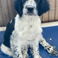 processed/7bf50128-7475-4538-a83b-dcf2c84d96f1/facility/a9289262-977a-43ed-9090-4bf2fa9a0205