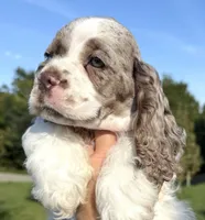 processed/7bf50128-7475-4538-a83b-dcf2c84d96f1/listing/41232267-adb5-4cbd-9173-ccf1a30433dd/587e8535-fd70-452d-9973-3d0f9a058169