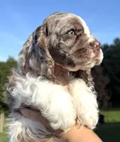 processed/7bf50128-7475-4538-a83b-dcf2c84d96f1/listing/41232267-adb5-4cbd-9173-ccf1a30433dd/a7cac868-212e-4a5b-818b-c72ae539271e