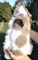 processed/7bf50128-7475-4538-a83b-dcf2c84d96f1/listing/41232267-adb5-4cbd-9173-ccf1a30433dd/dc8e5a6b-84eb-4373-873d-adb7e598fcf5