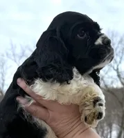 processed/7bf50128-7475-4538-a83b-dcf2c84d96f1/listing/46ffc71a-f237-4466-9e5e-45b8fa58aa1d/0c7852a5-9bda-43a1-8a30-7299cde8b7b9