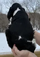 processed/7bf50128-7475-4538-a83b-dcf2c84d96f1/listing/46ffc71a-f237-4466-9e5e-45b8fa58aa1d/66919091-8e55-4bdf-adb0-0d7282df4e3a