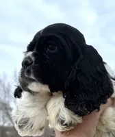 processed/7bf50128-7475-4538-a83b-dcf2c84d96f1/listing/46ffc71a-f237-4466-9e5e-45b8fa58aa1d/92d3df65-db4c-409d-863e-f682dcb9a372