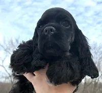 processed/7bf50128-7475-4538-a83b-dcf2c84d96f1/listing/6b54de46-6faa-45bc-b3e1-7d533c6ed733/0ee2e8ae-241c-4526-95de-c9d35c6880da