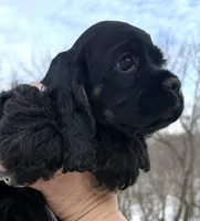 processed/7bf50128-7475-4538-a83b-dcf2c84d96f1/listing/6b54de46-6faa-45bc-b3e1-7d533c6ed733/d64e5b02-8c45-4f8c-90da-07170901c6bf