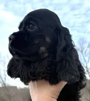 processed/7bf50128-7475-4538-a83b-dcf2c84d96f1/listing/6b54de46-6faa-45bc-b3e1-7d533c6ed733/e956e068-c924-41bb-b617-3ea96e384b5d