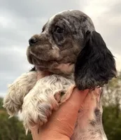 processed/7bf50128-7475-4538-a83b-dcf2c84d96f1/listing/ce3ca14c-24d1-4239-a79d-a2de8dc8d31c/ec3e4742-f508-41e5-b9d3-7e11d7da6b38