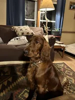 processed/7bf996d0-fc04-441b-8dcd-a81071461336/listing/63b32309-b629-4fc6-a5be-ca54c41e5598/7cc3ee44-23a1-4205-baa5-80e4c4ddd056