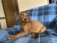 processed/7bf996d0-fc04-441b-8dcd-a81071461336/listing/63b32309-b629-4fc6-a5be-ca54c41e5598/9952f4d9-b4c3-4c3a-9b8f-ecfbd98e10c6