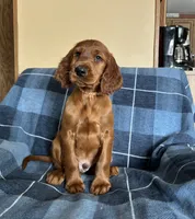 processed/7bf996d0-fc04-441b-8dcd-a81071461336/listing/7e97b9a1-5265-4a87-ac0d-d5c6831bcb79/4305a792-4630-4839-b25e-1ffe43fbdc36