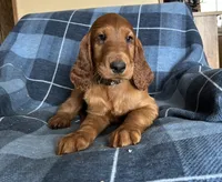 processed/7bf996d0-fc04-441b-8dcd-a81071461336/listing/7e97b9a1-5265-4a87-ac0d-d5c6831bcb79/433ab6ee-6d53-476e-bcd6-3c8057c5f4ff