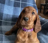 processed/7bf996d0-fc04-441b-8dcd-a81071461336/listing/a8861edd-c427-42b6-a55c-72b0d13365b0/6b12cbee-04f9-48d5-9da5-84f851150269