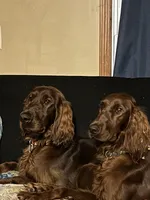 processed/7bf996d0-fc04-441b-8dcd-a81071461336/listing/a8861edd-c427-42b6-a55c-72b0d13365b0/af1ebcf9-33cb-4ee8-ab0d-98dd9ec3466d