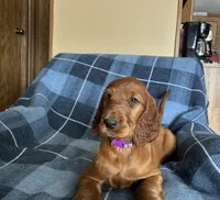 processed/7bf996d0-fc04-441b-8dcd-a81071461336/listing/ff6b5499-00e3-46bc-be9e-457cff918e16/0a317b38-e63d-4fb4-9eed-5115109fdb64