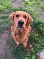 processed/7bff054d-176a-4f79-ac18-75acdd30bac1/facility/0b22259f-8e93-4ae6-854f-9a847652334e