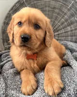 processed/7bff054d-176a-4f79-ac18-75acdd30bac1/facility/324592c7-e4e1-47df-870a-4f44830ee21a