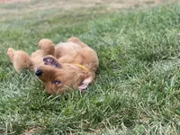 processed/7bff054d-176a-4f79-ac18-75acdd30bac1/facility/41b49e10-b41c-4f8f-965d-07d7eb999634