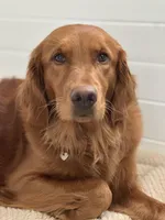 processed/7bff054d-176a-4f79-ac18-75acdd30bac1/facility/82311fec-6b41-4830-ba34-3117224b794b