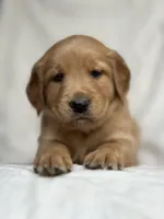 processed/7bff054d-176a-4f79-ac18-75acdd30bac1/facility/a71262a0-a25b-48a8-bd88-107749d92031