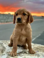 processed/7bff054d-176a-4f79-ac18-75acdd30bac1/facility/f4926f5d-84db-4e06-964d-f5b2673ccb8b