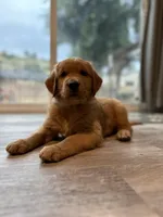 processed/7bff054d-176a-4f79-ac18-75acdd30bac1/facility/f9bacac9-5e70-423b-af80-d04b149db0ee