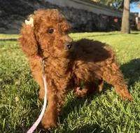 processed/7c0bbecd-188b-4dd2-9071-835033cc5f89/listing/856d3f17-d87f-4cfe-952b-4b3658835870/2bd48a1a-8c7a-40c5-a88e-167217ac88fc