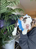 processed/7c0f21c5-a944-46c2-818a-2f6fd7211956/listing/d6749430-dcf3-41fa-9d49-f407158f6e1c/062077ce-690b-4b6d-97e6-fb280319ab42