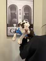 processed/7c0f21c5-a944-46c2-818a-2f6fd7211956/listing/d6749430-dcf3-41fa-9d49-f407158f6e1c/9333ddb6-fe89-4a68-b3a8-3ce5e0d232ef