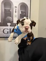 processed/7c0f21c5-a944-46c2-818a-2f6fd7211956/listing/d6749430-dcf3-41fa-9d49-f407158f6e1c/ab8f69a4-0de9-457c-8ba2-ea51d405d0b3