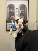 processed/7c0f21c5-a944-46c2-818a-2f6fd7211956/listing/d6749430-dcf3-41fa-9d49-f407158f6e1c/b3cd7ae2-8668-4764-86ab-e063cfae5ef6