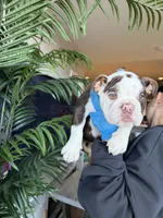 processed/7c0f21c5-a944-46c2-818a-2f6fd7211956/listing/d6749430-dcf3-41fa-9d49-f407158f6e1c/ea50cb21-0e13-42b8-a18f-a6b2e4367af4