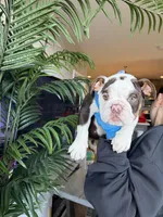 processed/7c0f21c5-a944-46c2-818a-2f6fd7211956/listing/d6749430-dcf3-41fa-9d49-f407158f6e1c/f0f7f3fb-c672-4516-be86-0e8a55c2e3af