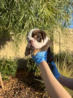 processed/7c0f21c5-a944-46c2-818a-2f6fd7211956/listing/f791c3fb-e618-4f77-a188-8c0b87d210a9/4c679706-bf80-4600-a167-d294c5aa51e2