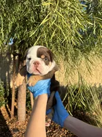 processed/7c0f21c5-a944-46c2-818a-2f6fd7211956/listing/f791c3fb-e618-4f77-a188-8c0b87d210a9/8ccc8dbd-0bdf-440f-b008-aad81d5f0c09