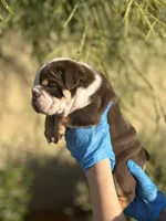 processed/7c0f21c5-a944-46c2-818a-2f6fd7211956/listing/f791c3fb-e618-4f77-a188-8c0b87d210a9/a8404ecf-c1f0-4783-b09f-b06d7df03858