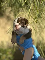 processed/7c0f21c5-a944-46c2-818a-2f6fd7211956/listing/f791c3fb-e618-4f77-a188-8c0b87d210a9/ae05babd-4d98-4611-9ef0-6f93c5de34e0