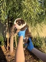 processed/7c0f21c5-a944-46c2-818a-2f6fd7211956/listing/f791c3fb-e618-4f77-a188-8c0b87d210a9/fa2628a0-906c-48b8-918c-d718a31981cd