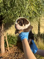 processed/7c0f21c5-a944-46c2-818a-2f6fd7211956/listing/f791c3fb-e618-4f77-a188-8c0b87d210a9/fe640b5f-82d6-4790-b763-7b028dea5875