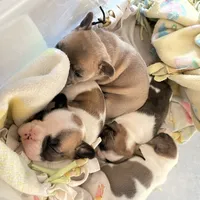 processed/7c121158-8f1c-4165-8282-17b3f423614d/facility/7a7e702a-15f1-4b51-96aa-77834699377d